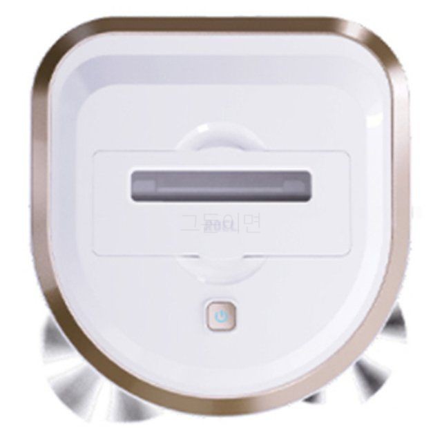 로엘 듀스핀 로봇