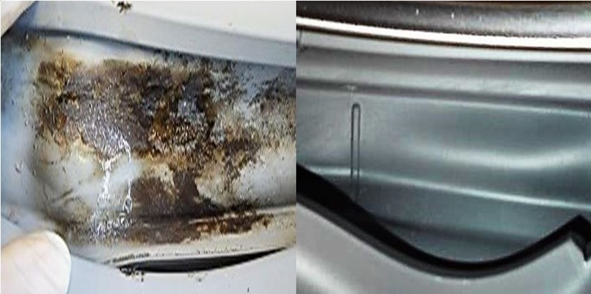 무세제 통세척 전후 비교 — 왼쪽: 고무 패킹 안쪽에 낀 곰팡이와 오염물. 오른쪽: 통세척 후 깨끗해진 상태